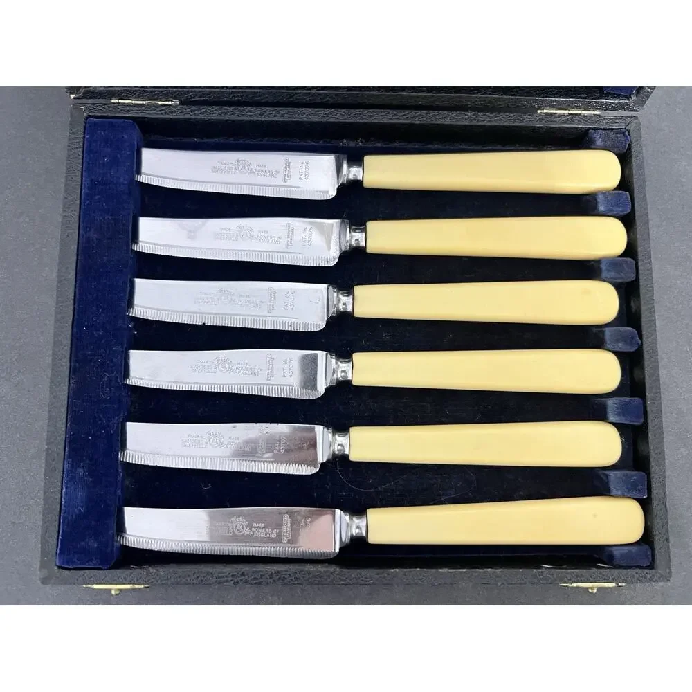 FRIAR Sanders Bowers Sheffield England Cutlery 6 Steak Celluloid Knives Orig Box